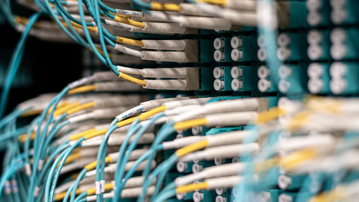 Rows of network cables plugged into a patch panel