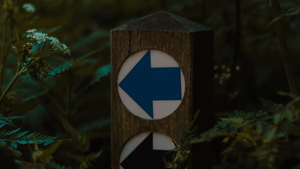 A wooden signpost with a directional arrow among green foliage